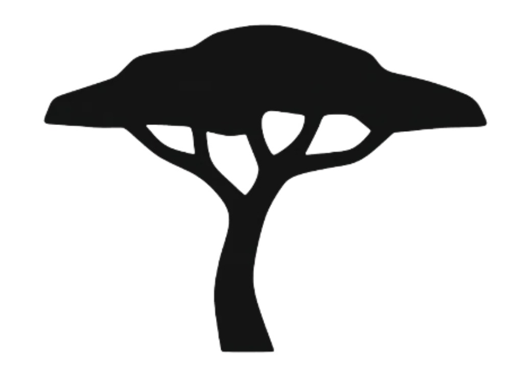 divitest.reedhost.site